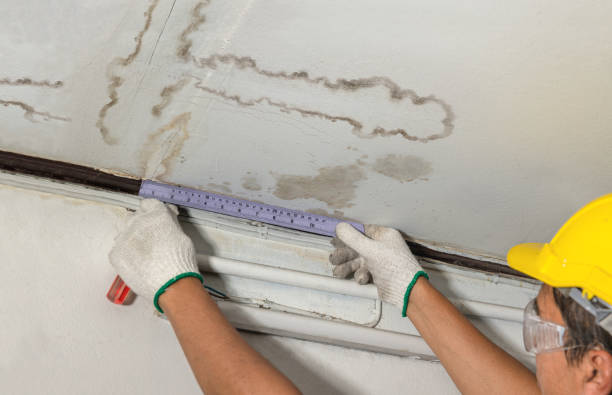Reliable Burst Pipe Cleanup contractor in Hazel Park, MI by Water Damage Irwin